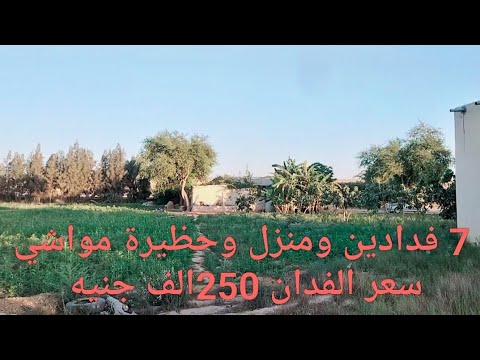 7 فدادين أرض زراعية ومنزل وحظيرة مواشي كمل الفيديو للآخر هتشوف المفاجأة ومتنسوش لايك للفيديو