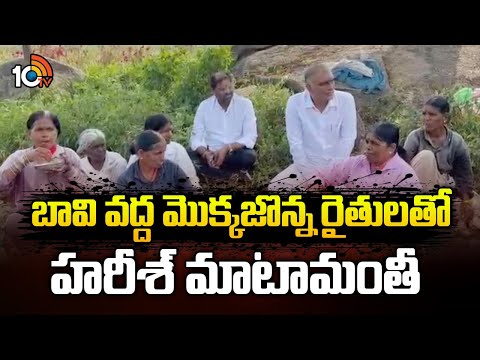 సిద్దిపేట జిల్లా చిన్నకోడూరు మం. గంగాపూర్ లో హరీశ్‌ రావు | BRS Harish Rao With Farmers | 10TV - 10TVNEWSTELUGU