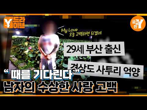 '망고'와 함께 사라졌던 남자의 실체 | Y드라이브