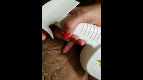 A very fast bed bug on sofa killed in seconds