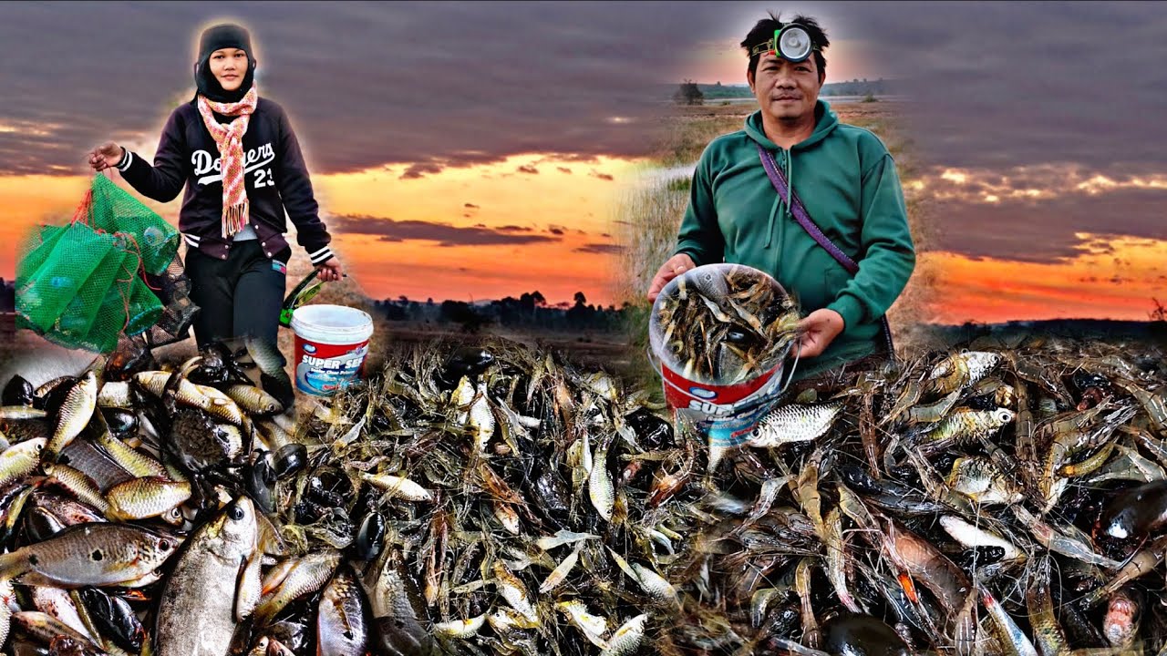 ป๊าดๆๆๆๆดักตุ้มวันนี้หมานสุดๆครับได้กุ้งได้ปลาและแมงตับเต่า ได้ใส่ถังครับ/4/ก.พ/69