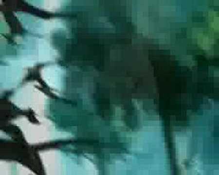 Basilisk nightwish Dark Chect Of Wonder