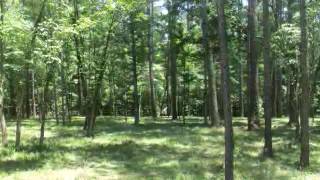 Lots And Land for sale - 1050 LIBERTY BLUFF ROAD, Greensboro, GA 30642