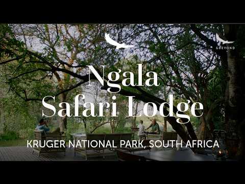 Ngala Safari Lodge | Kruger National Park | South Africa