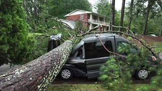 Fallen tree crushes van like 'a soda can' | FOX 5 News