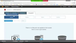AWS Versioning & Lifecycle Policy