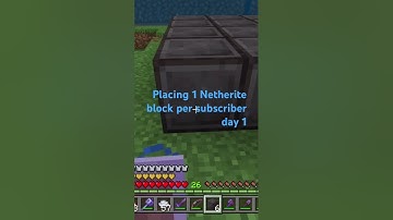 Placing 1 Netherite block per subscriber