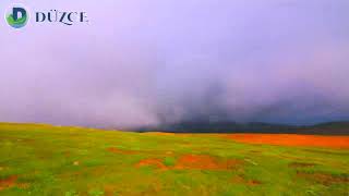 Kardüz Yaylasını Hiç Böyle Görmediniz