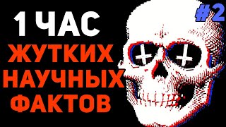 1 ЧАС СТРАШНЫХ НАУЧНЫХ ФАКТОВ #2 ☠️