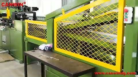 CANWIN | Swing Shear Cut To Length Line Machine for Transformer Core | CTL Manufacturer CAH(12)-250D