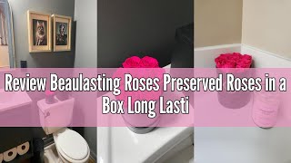 Review Beaulasting Roses Preserved Roses in a Box Long Lasting Roses Last a Year Forever Romantic Gi