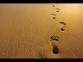 Footprints - My style