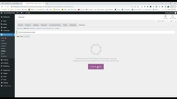 Woocommerce API credentials and Wordpress Application password