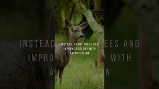 Invest in a Kodai Agriorg avocado farm and contribute to a sustainable future.#shorts