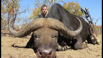 Complete Pass-Through on a Cape Buffalo - Down in 25.15 Seconds - GrizzlyStik Arrow & Broadhead