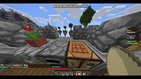 mc-central.net Hacker On Skywars| Report Proof