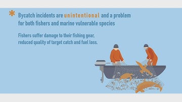 MedBycatch: Working together to reduce bycatch in the Mediterranean