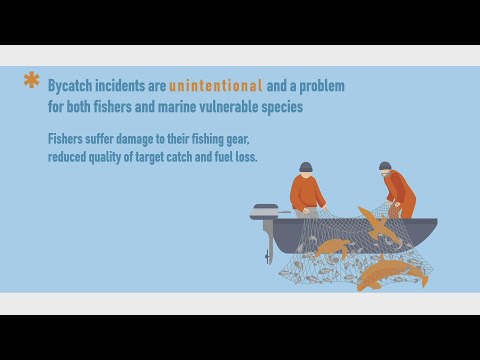 MedBycatch: Working together