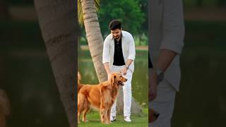 আমার দিন গুলো সব যায় হারিয়ে আঁধারে #nancysong #music #newsong #habibwahidnewsong #dog