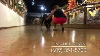 9mo Giant Schnauzer Regis~ Giant Schnauzer Trainers ~ Offleash K9 Training Phoenix