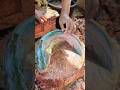 Perfect Bowl Fish Cutting Skills In Bangladesh Fish Market