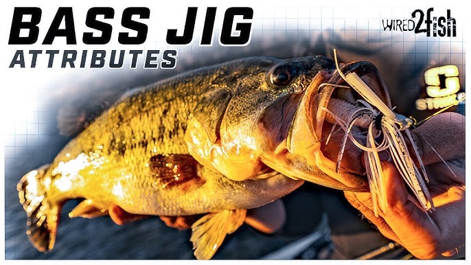 How to Choose the Best Bass Jig for the Situation 