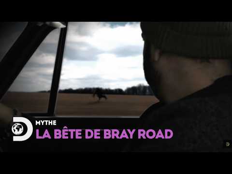 Créature Surnaturelle ou Animal Inconnu ? Enquête sur la Bête de Bray Road - Monstres & Légendes
