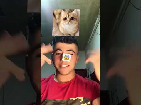 فلتر يطلع شبيهك ههه
