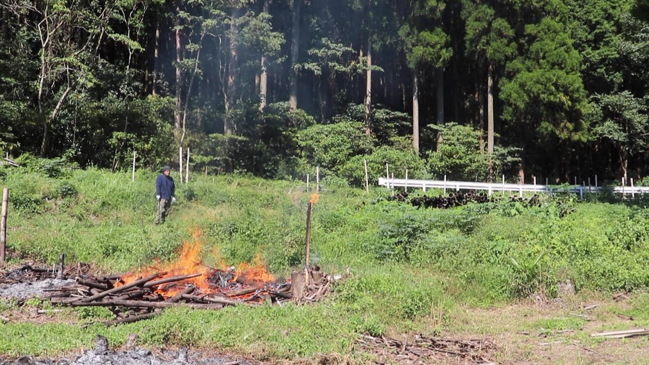 枯れ竹を丘から一気に焼却！まだ終わらない長い処分の道｜畑作り