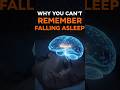 Why You Can’t Remember Falling Asleep 😴🧠