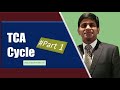 TCA cycle or citric acid cycle: Part 1: Carbohydrate metabolism:  biochemistry