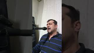 Battal çınar develi