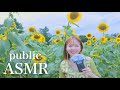 【Public ASMR】ひまわり畑やボートでASMR🌻in昭和記念公園【SUB】sunflower field