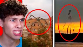 20 Criaturas Gigantes Captadas En Cámara