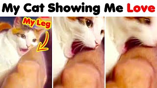 Pets Are Weird..Here Is A Proof Pets Are Weird..Here Is A Proof