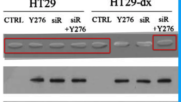 3673C70CC9DB5DFE51A22739F5CBBA#2