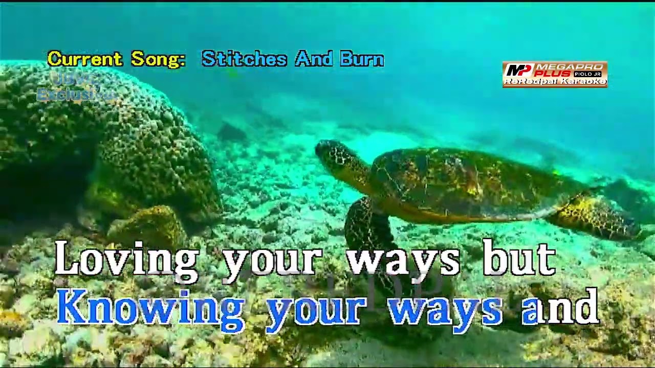 Stitches And Burns - Fra Lippo Lippi || Megapro plus midi karaoke