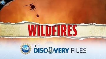 Do wildfires cause wind? #wildfire