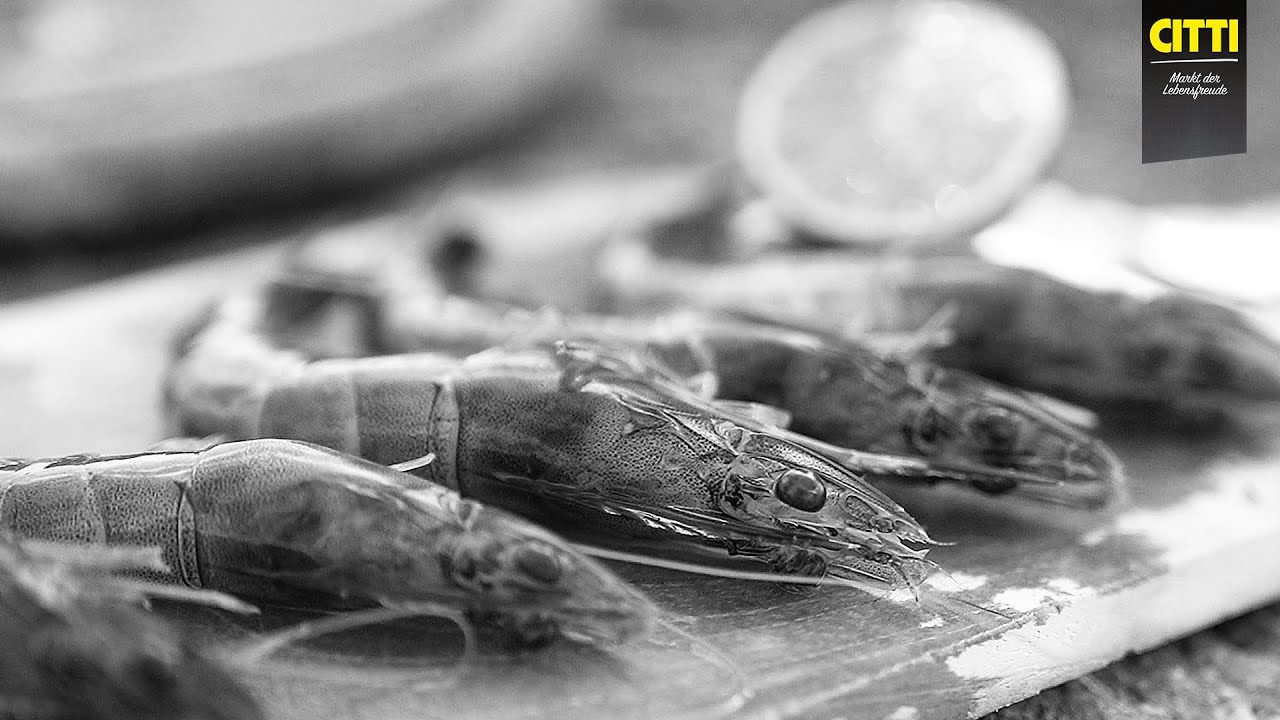 Wir in der Region - Förde Garnelen