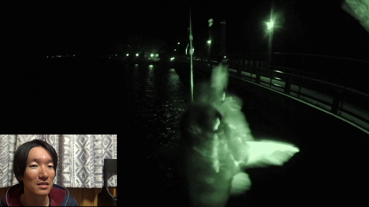 浜名湖で夜釣り Youtube