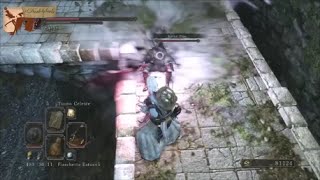 Dark Souls 2, Seppuku animation and lag parry!