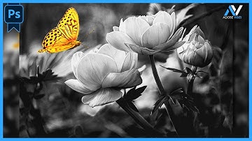 Color Splash in Photoshop | Photoshop Tutorial 2024 | Selective Area Color effect