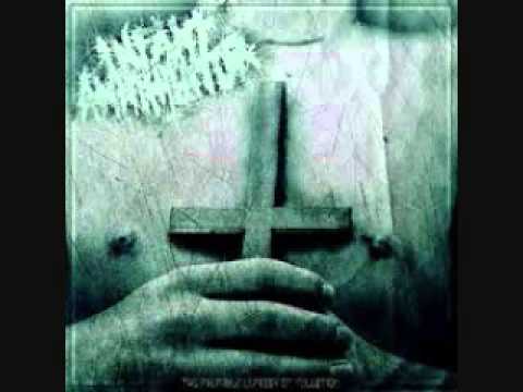 Decapitation Fornication - Infant Annihilator (Cover)