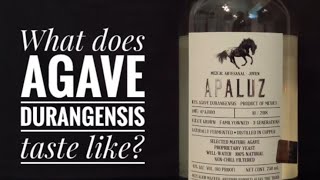 Mezcal Apaluz - Bottle Showcase and Review