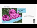 Varroa Sensitive Hygiene (VSH) & Hygienic Behaviour - A study to fight Varroa
