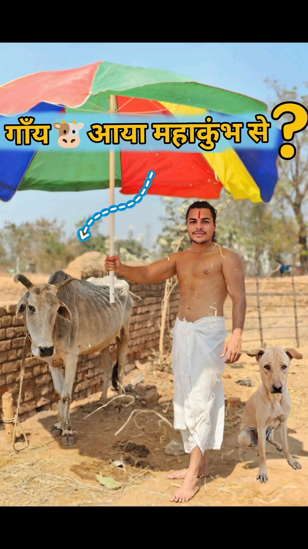 गाय?माता की सेवा किया?? #comedy #mahakumbh #cow