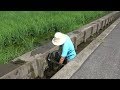 田んぼの用水路でガサガサしてみたら・・・