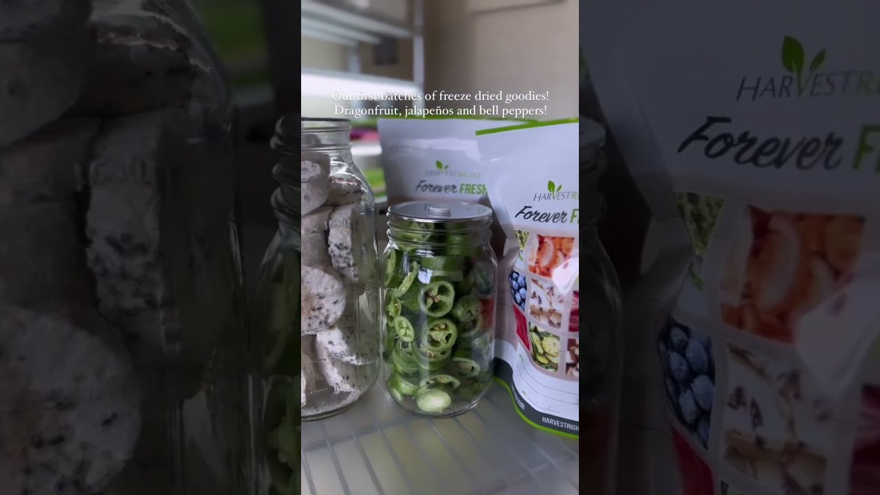 Our First Batches In New Harvest Right Freeze Dryer Raw Food Vegan