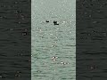 2025年3月18日