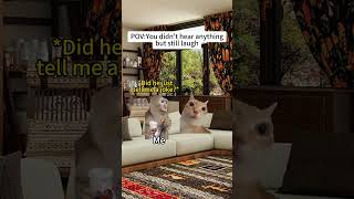 CAT MEMES🐱You didn't hear anything but still laugh #catmemes #memes #funnymemes #funny #relationship